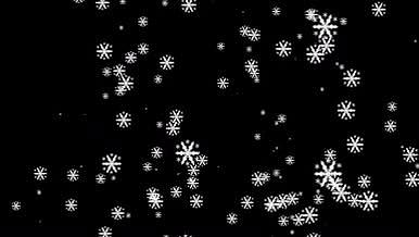 透明的雪花飘落动效模板视频的预览图